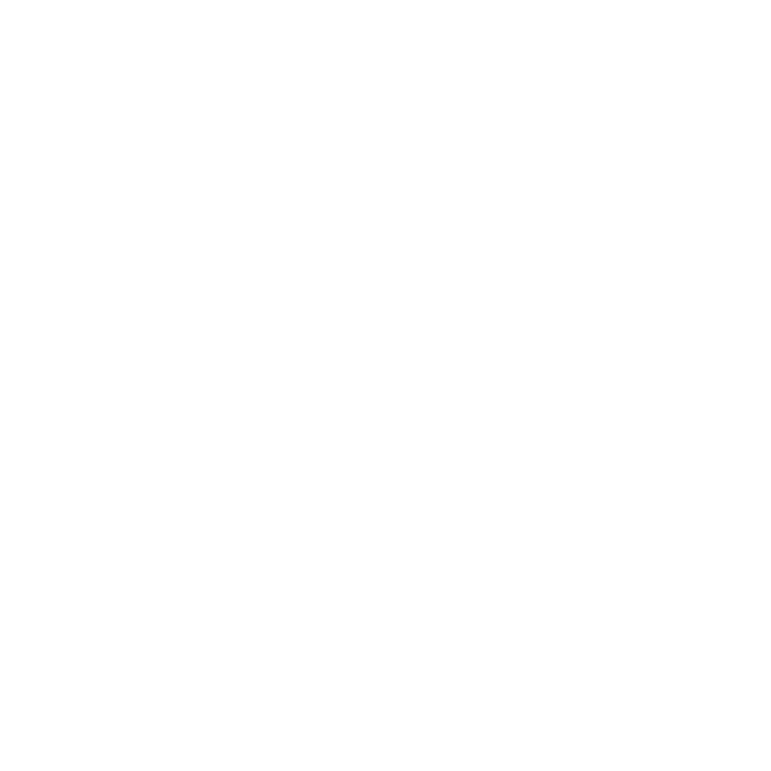 The Parsi Project Logo